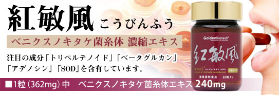 ベニクスノキタケ菌糸体「紅敏風(こうびんふう)」