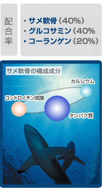 軟骨補給