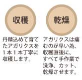 アガリクス茸ができるまで3