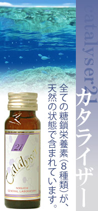 野口カタライザー21(糖鎖栄養素)