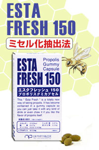 エスタフレッシュ
