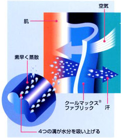 N[}bNX̍\