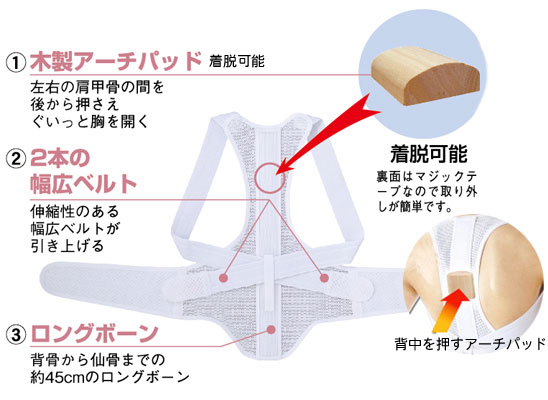 ぐいっと背筋ベルト