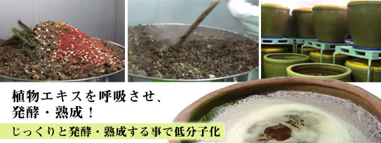 エイブリー酵素