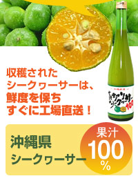 青切シーワーサー