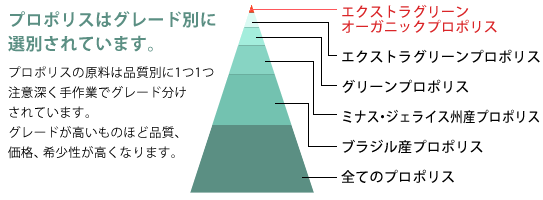 最高品質のプロポリス