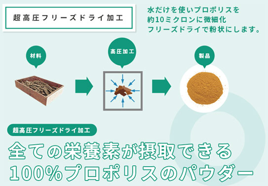 プロポリス抽出方法