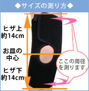 バイオラバーサポーター着用イメージ