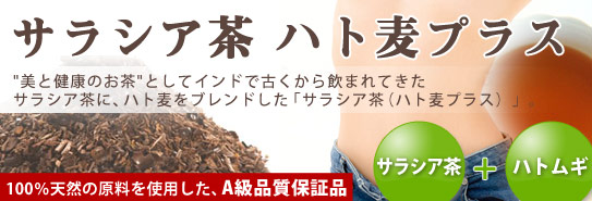 サラシア茶 ハト麦プラス