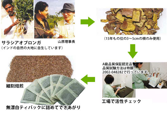 サラシア茶ができまで。