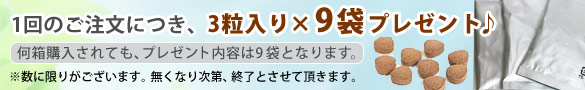 「ルイボス」プレゼント!