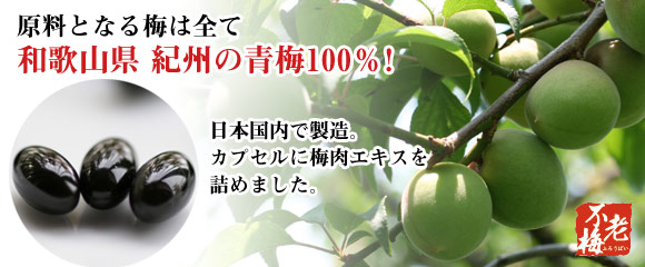 梅肉エキスソフトカプセル